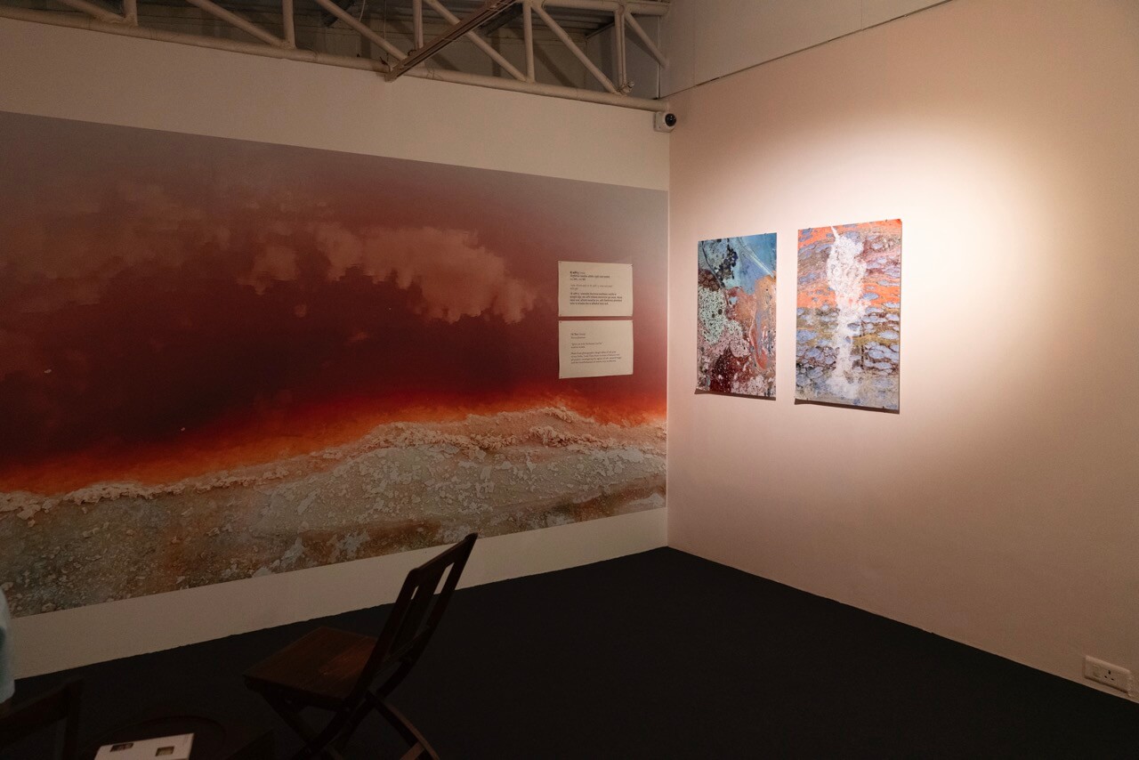 Salt Lines by Hylozoic/Desires (Himali Singh Soin & David Soin Tappeser)