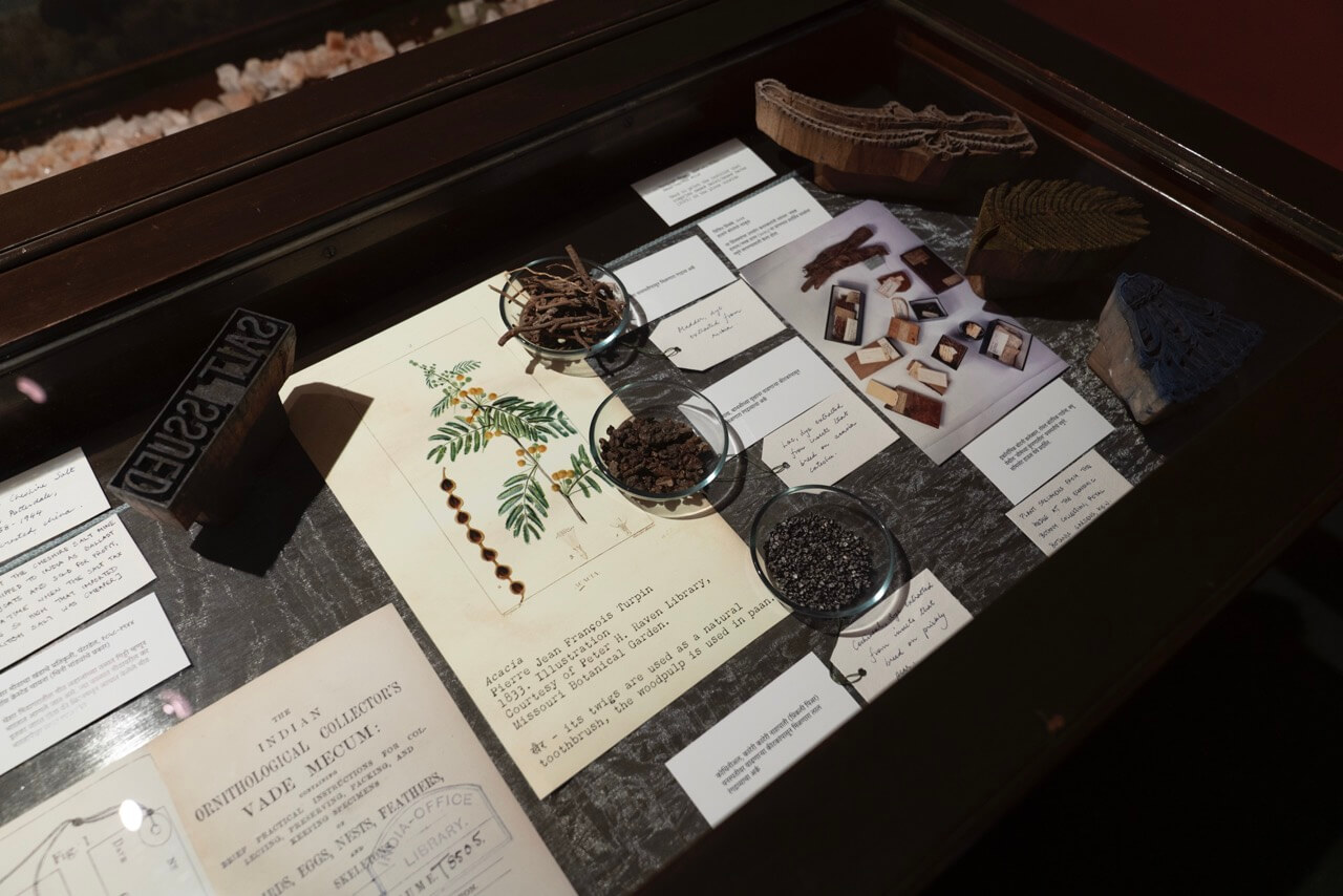 Salt Lines by Hylozoic/Desires (Himali Singh Soin & David Soin Tappeser)