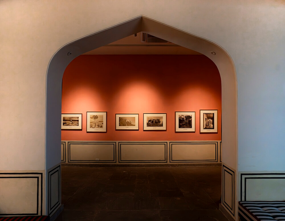 Salt Lines by Hylozoic/Desires (Himali Singh Soin & David Soin Tappeser) at the Jaipur Center for Art