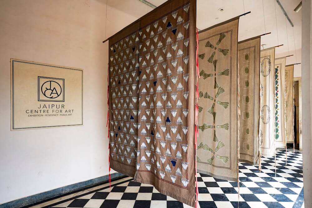 Salt Lines by Hylozoic/Desires (Himali Singh Soin & David Soin Tappeser) at the Jaipur Center for Art