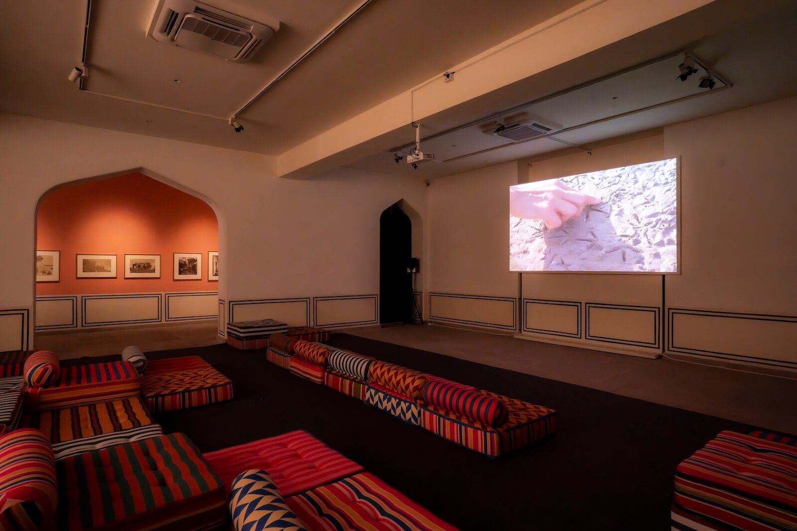 Salt Lines by Hylozoic/Desires (Himali Singh Soin & David Soin Tappeser) at the Jaipur Center for Art